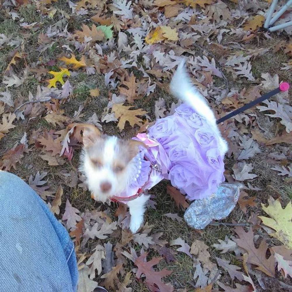 Meet your Posher, Kev